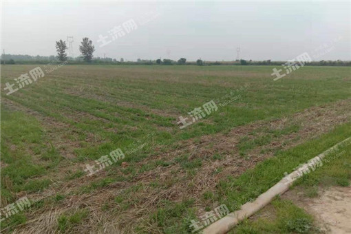 ���������Ӵ壺��ֲ�������ũ�������¸���