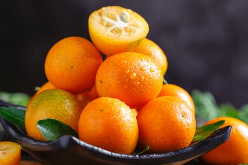 盆栽金桔开花挂果期栽培技术要点-摄图网