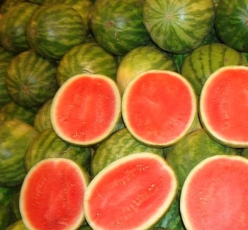 ���������޹������༼��