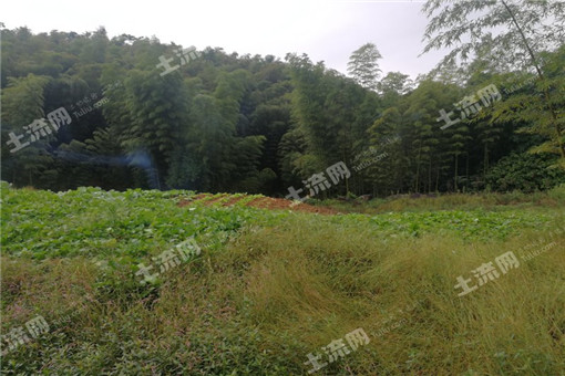 ���Ѳ������Ҫ��ʲô��