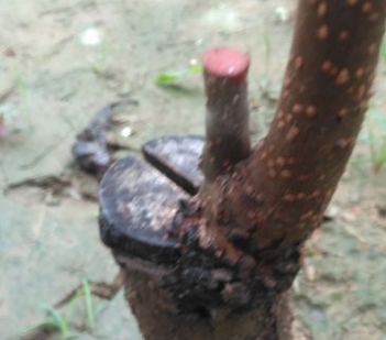 �����޽Ӽ��������ڹ���