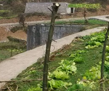 �����޽Ӽ��������ڹ���