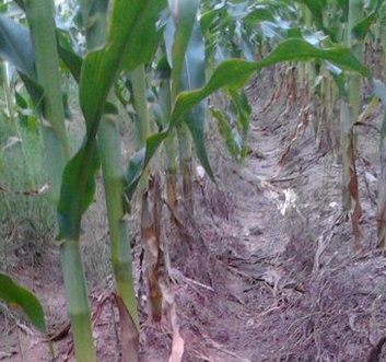 ��������ݷ���