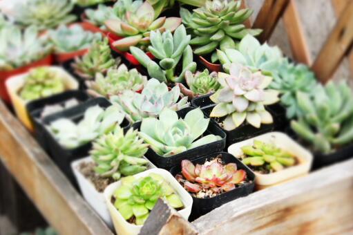 �������ӷ�ѿ�����ô����-��ͼ��