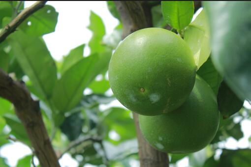 ��������������ֳ����-��ͼ��