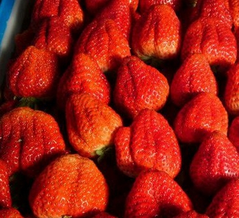 ����ժ��ݮ