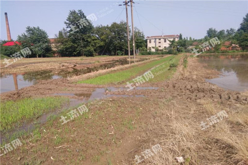 ��������ֲҵ��չ��ʮ���塱�滮