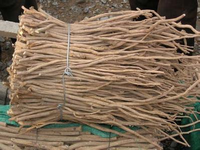 ��ֲ��ҩ��ǰ����Σ����ֳ�����ҩ����ֲ��������