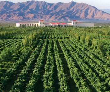 ������ɫ��ҵ���ѵ���ֲ��������Щ