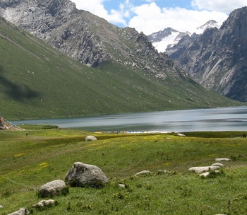 青海农村地区适合养殖羊、牛、猪、马、牦牛等牲畜
