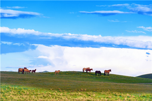 ��ԭ-��ͼ��