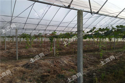 2016��ˮ�ع������ֺ��Ҳ�ҵ��չ��ʵʩ������� �У�