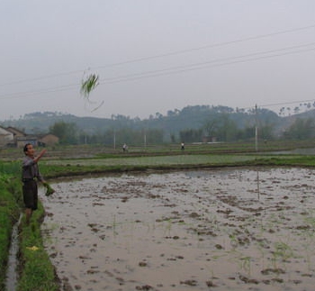 ���������������ﻯѧ����