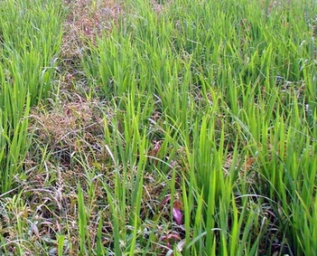 ���ϡ����ݡ����������������ﻯѧ����