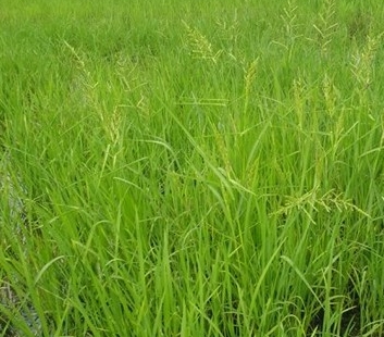 �����ϡ����ε���ֱ���������