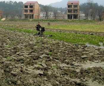 �����С����ε�������ֱ���������