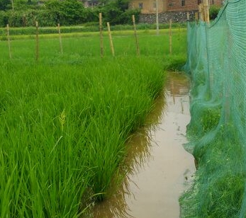 �����С����ε�������ֱ���������