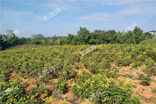 �й��������Ĺ���,��֪�������ֲ������