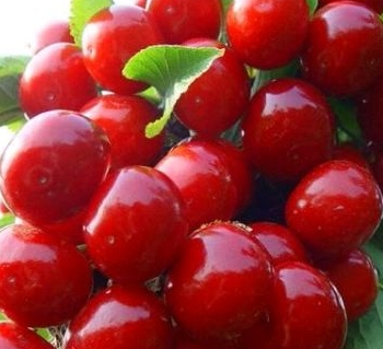 ӣ�Һ˽����ж�