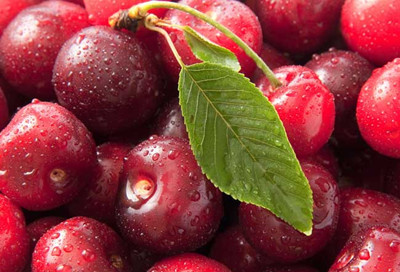 ��������ֲ��������Щ��