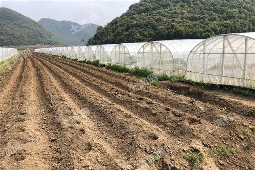 �����ֲ���ǣ����ǵ���ֲ��������