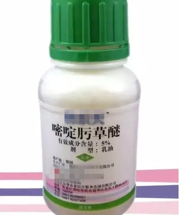 ���뿲���