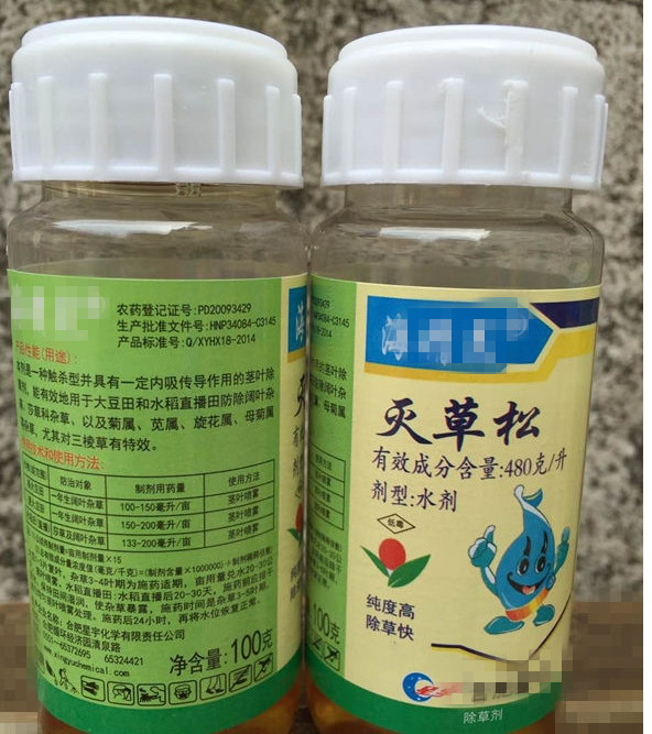 2��4����