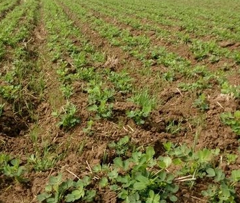 �������ڹ���