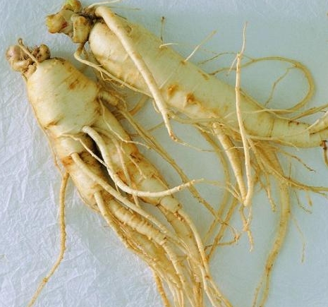 �����ʺ���ֲ��Щ��ҩ��