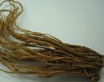 �����ʺ���ֲ��Щ��ҩ��