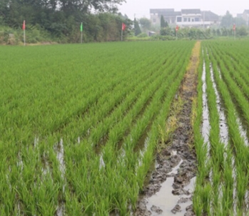 �㶫�������������ֹ������ﻯѧ����