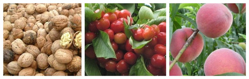 �������������������ֺ��ҡ����ӡ�ӣ����