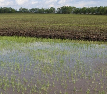 ���������ֹ�������ѧ���ݼ���