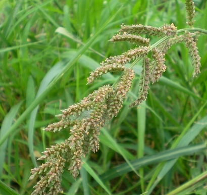 ���ϵ����ֹ�������ѧ���ݼ���