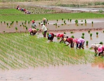 ���ϵ����ֹ�������ѧ���ݼ���