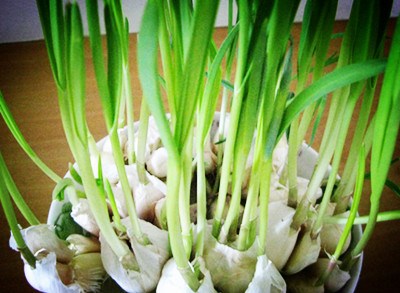 �������ֲ�����