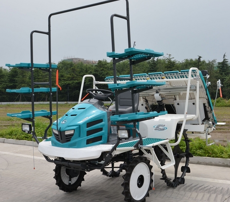 �����С����λ�е�������ﻯѧ���ݼ���