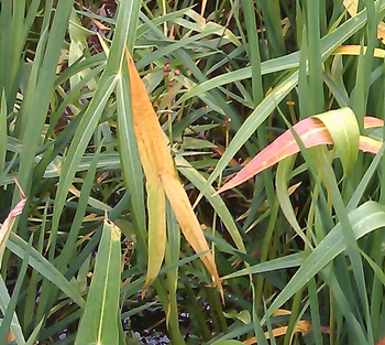 �����С����λ�е�������ﻯѧ���ݼ���