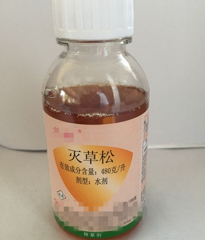 ����������е�������ﻯѧ���ݼ���