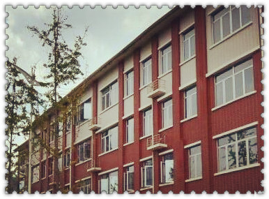 �������Ļ�����ʲô��������ֲ��������