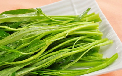 ���Ĳ˿ظ��������Ĳ���ֲ���������Ĳ˵�����������