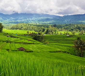 ˫��ȸ�޶�ˮ����Ӱ��