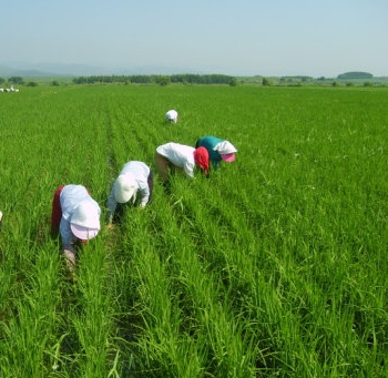 ˫��ȸ�޷���