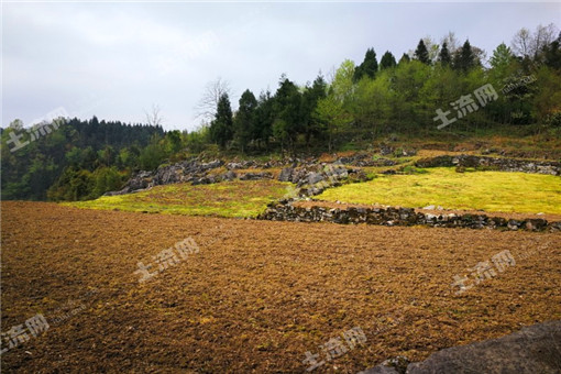 ħ�����ֲ���� ħ����ô�֣�