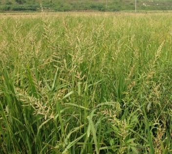 ΢�������