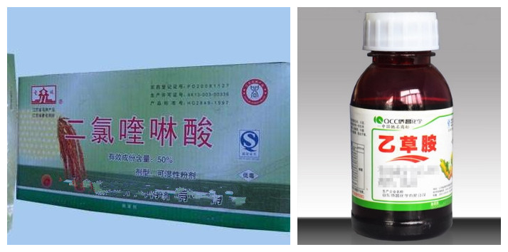 �����޲ݵĳ��ݼ�