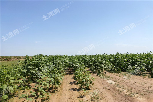 ����Ϊ������֮������ĵ����ֲ��������