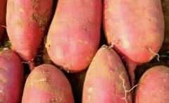 ���ۺ������ߵĺ�������������ͷ��ѿ�˻��ܳ���