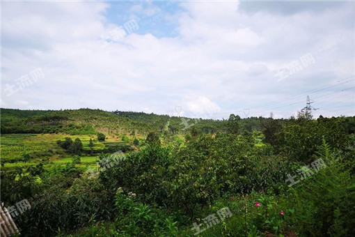 ���ֲ����һ�ξ͵ö��������ֲ����ô���ࣿ