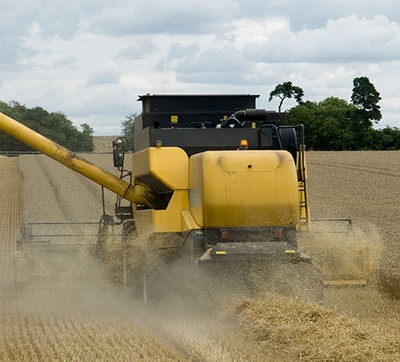 С�������ո��